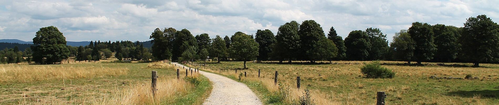 Percorso A piedi Borová Lada - CZ-Trauermantel · Babočka osiková - Photo