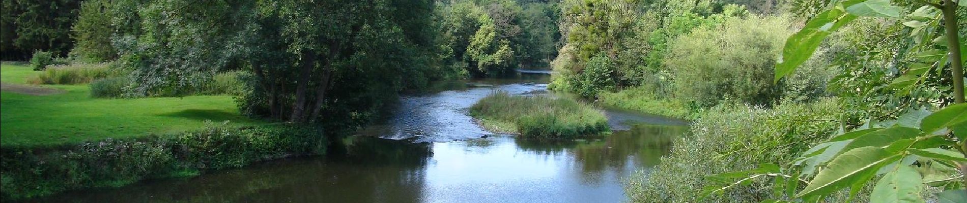 Randonnée Marche Houyet - Balade en Val de Lesse - De Hour à Wanlin - Photo