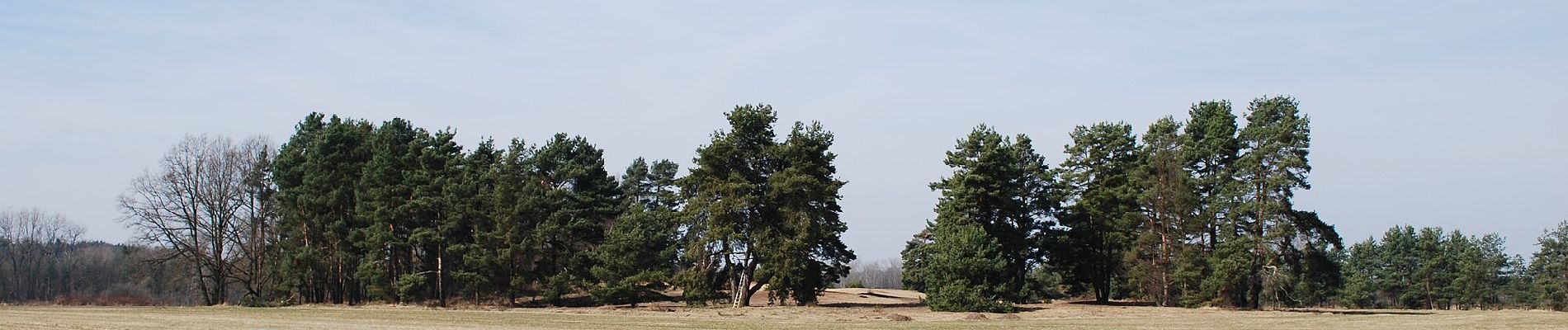 Percorso A piedi Vlkov - naučná stezka Veselské pískovny - Photo