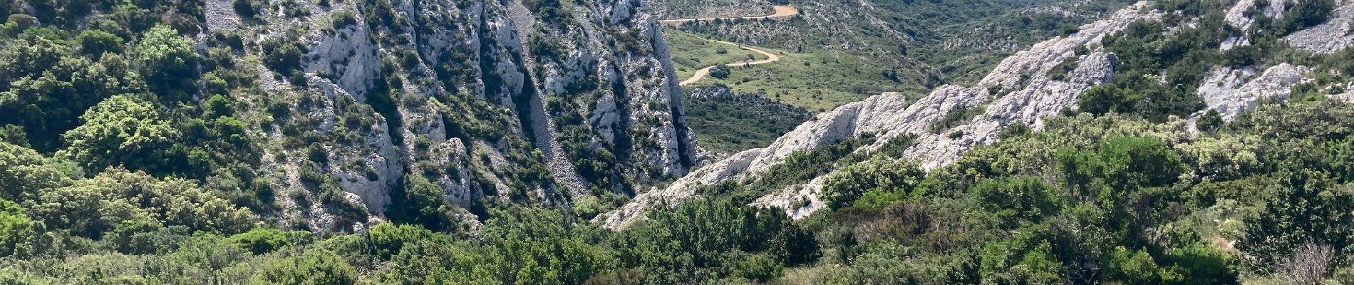 Trail Walking Saint-Rémy-de-Provence - Le plateau de Caume - Photo