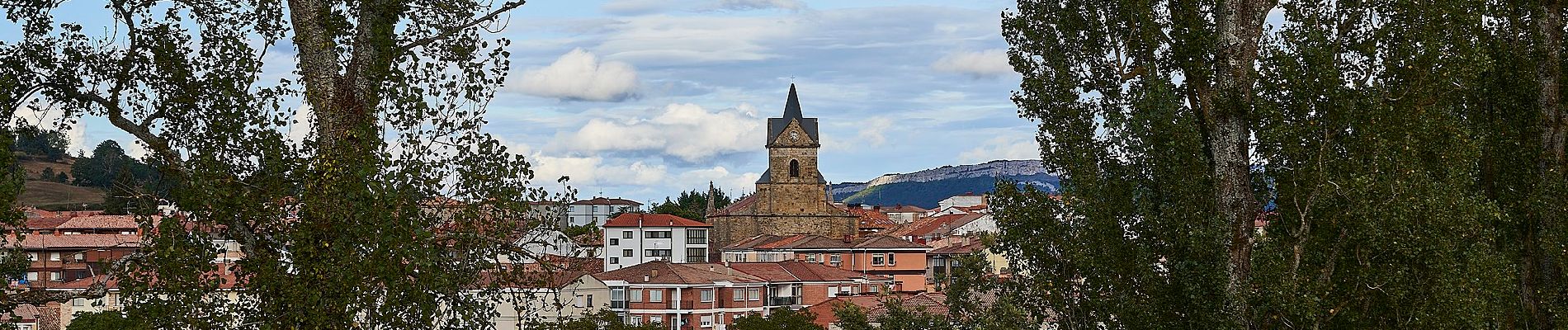 Tocht Te voet Espinosa de los Monteros - Senda del Estraperlo-Domingo Pájaro - Photo