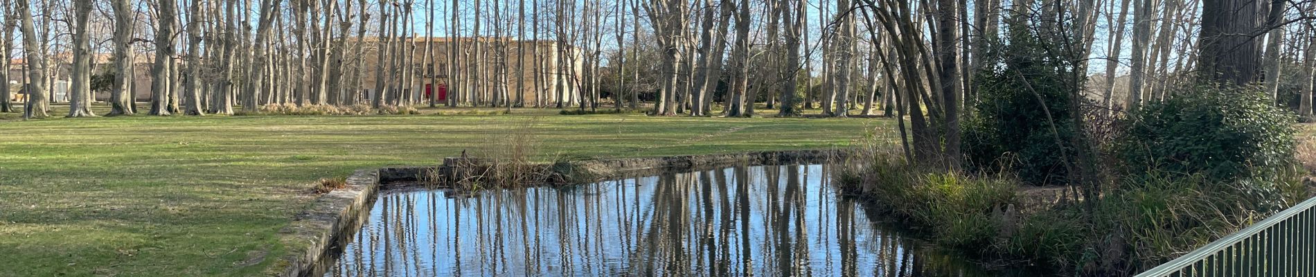 Percorso Marcia Lavérune - Laverune, le château des Évêques - la Mosson - Photo