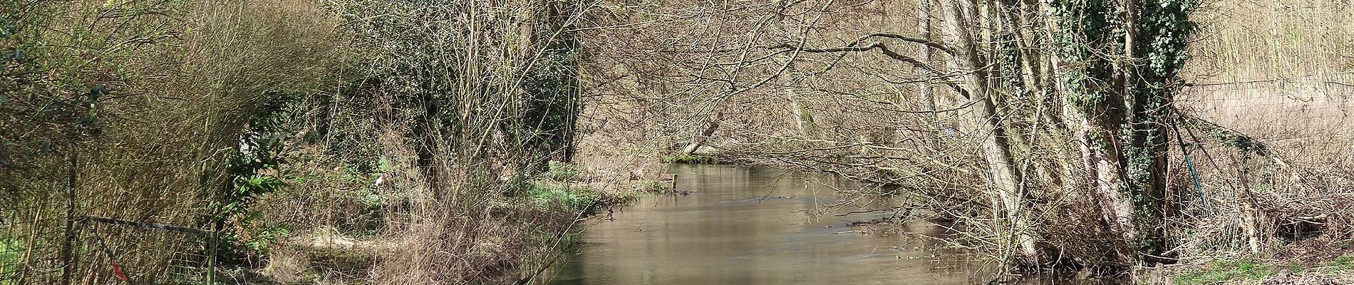 Trail On foot Guizancourt - La Montagne de Guizancourt - Photo