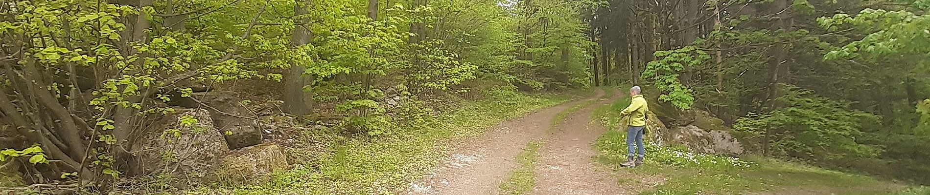 Tour Zu Fuß Weinheim - Rundwanderweg Bärsbacher Weg 2: Eichelberg-Weg - Photo