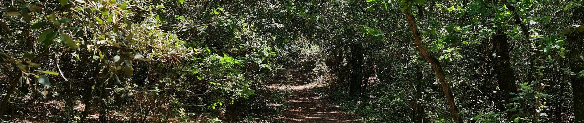 Trail Walking Le Verdon-sur-Mer - Verdon, Soulac (Boucle) - Photo