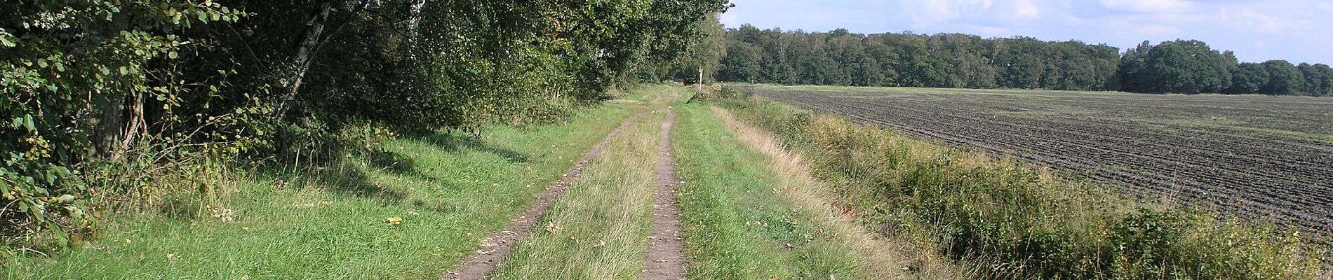 Tocht Te voet Gifhorn - Dragen-Triangel-Grenze - Photo