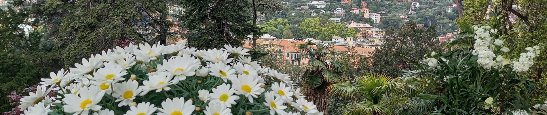 Randonnée Marche Santa Margherita Ligure - Portofino 30.4.23 - Photo