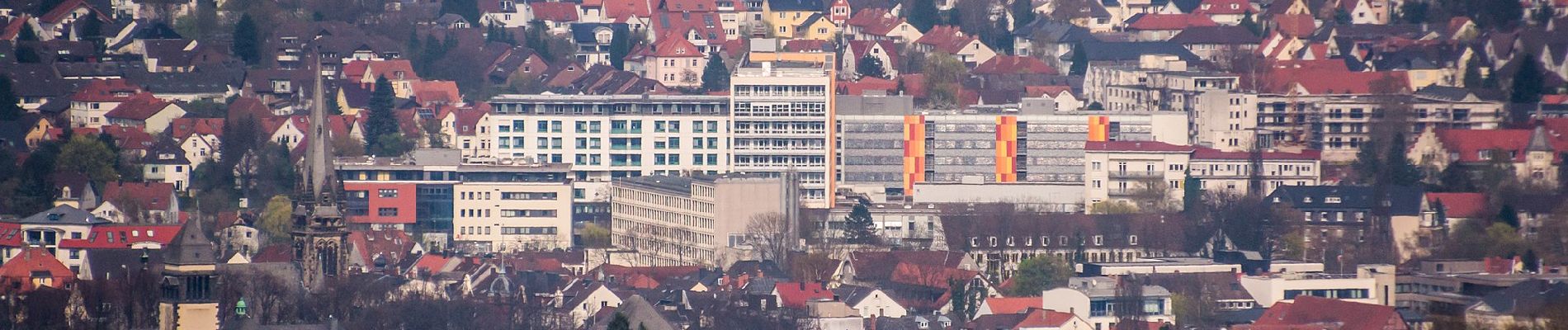 Tocht Te voet Detmold - Zugangsweg Hermannshöhen - Detmold - Photo