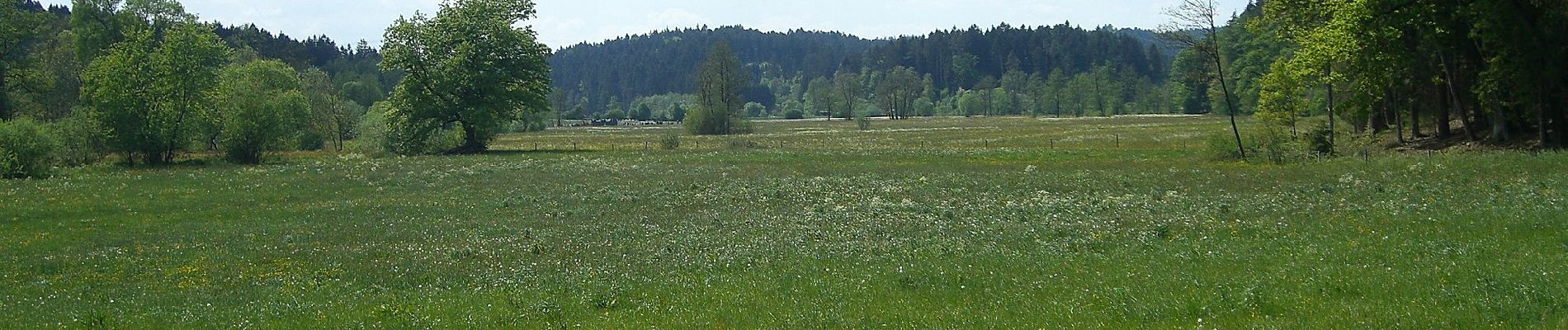 Tocht Te voet Alfdorf - Alfdorfer Wanderweg Nr.11 - Photo