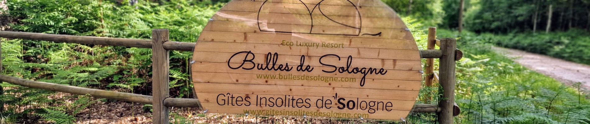 Excursión Bici de montaña Brinon-sur-Sauldre - Sologne balade VTT domaine des bulles - Photo