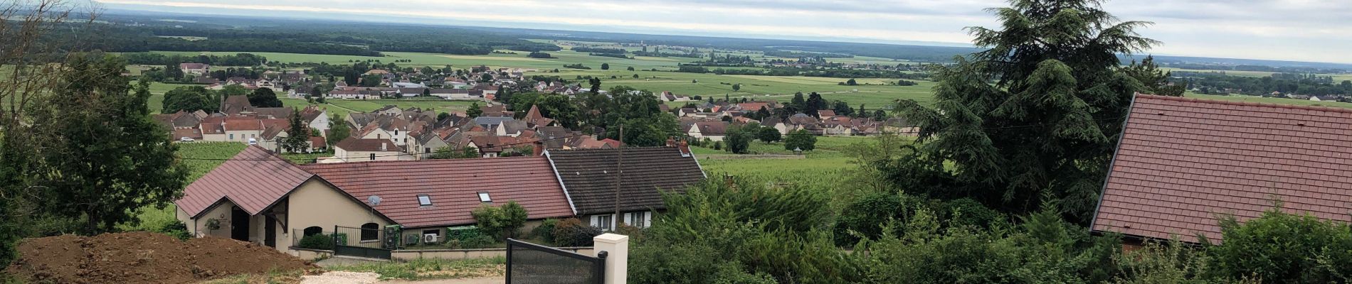 Tour Wandern Morey-Saint-Denis - Circuit des grands crus - Photo