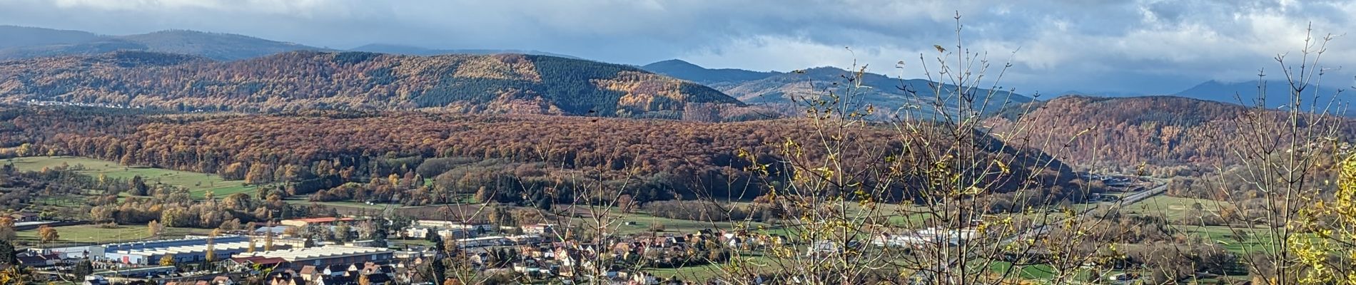 Randonnée Randonnée équestre Gresswiller - 2023-11-19 Picnic CVA Les pelouses du Jesselsberg - Photo