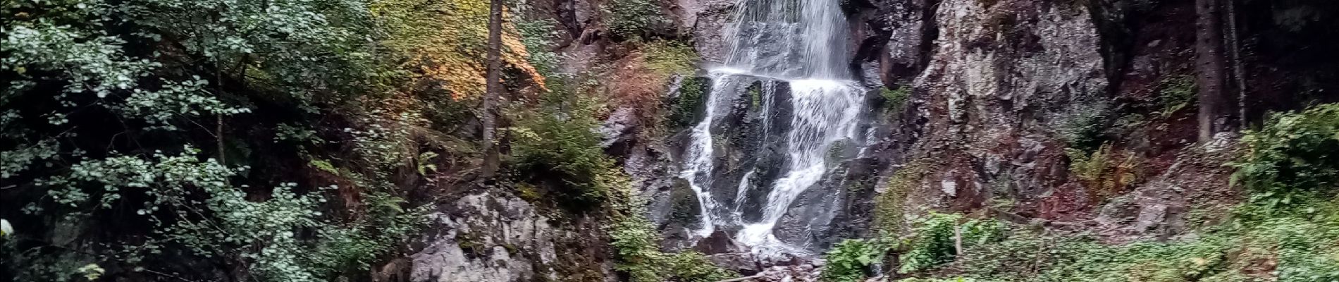 Tocht Stappen Le Hohwald - Le Hohwald  - Photo