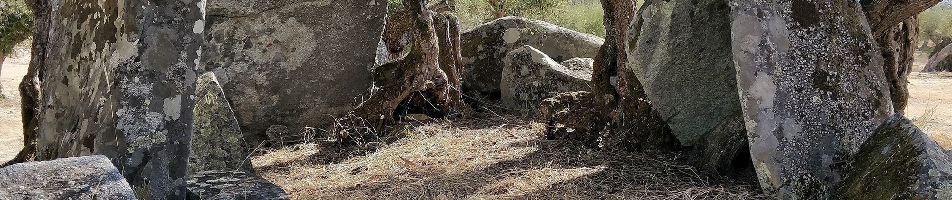 Trail On foot Monsaraz - Rota dos Menires - Photo