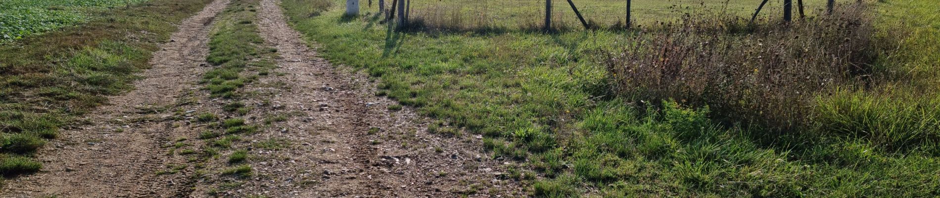 Tour Wandern Villiers-sur-Loir - Villiers-sur-Loir Circuit PR (Promenade et Randonnée) - Photo