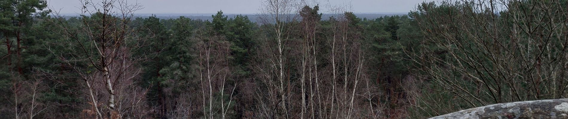 Point of interest Fontainebleau - Unnamed POI - Photo