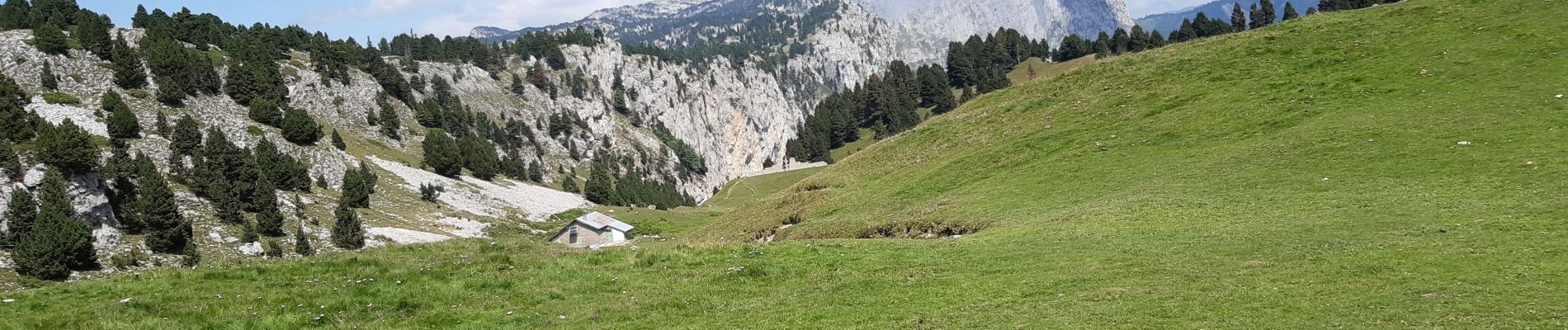 Tocht Stappen Saint-Agnan-en-Vercors - traversée col rousset combeau  - Photo