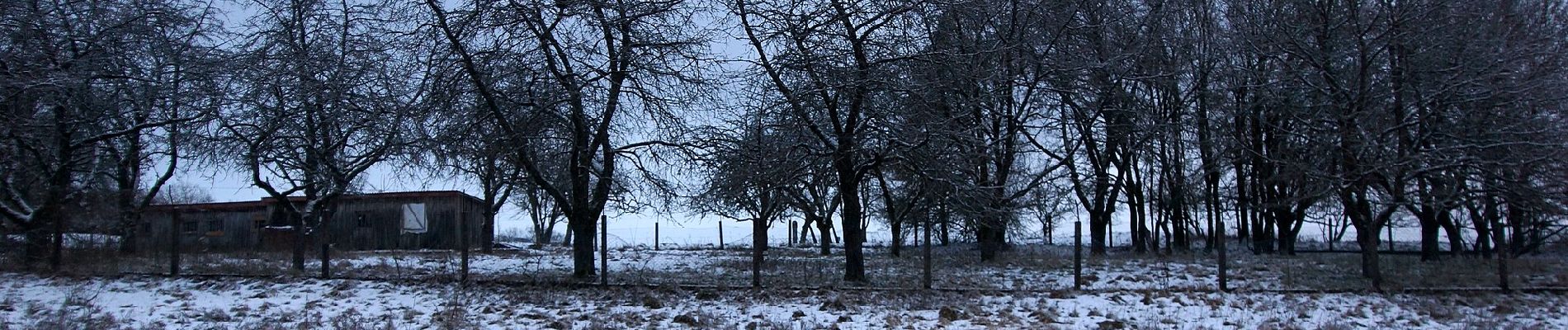 Percorso A piedi Neumarkt in der Oberpfalz - Rundweg Labersricht - Photo