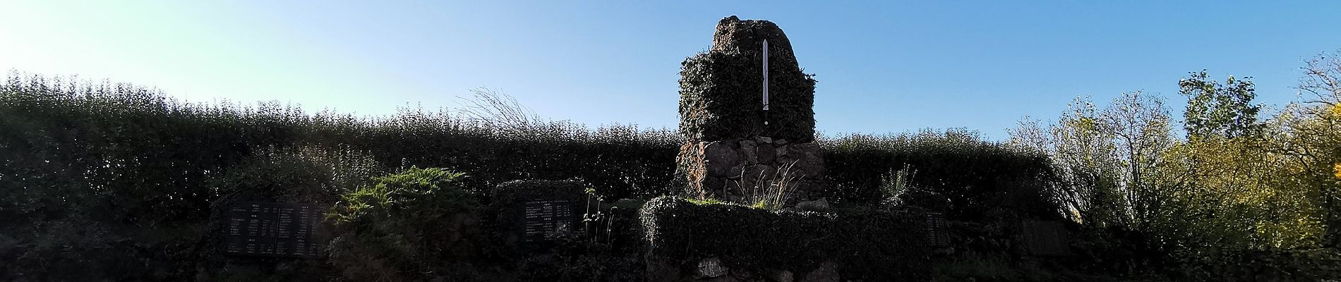 Randonnée A pied Imsbach - Kupferwege 2 - Photo