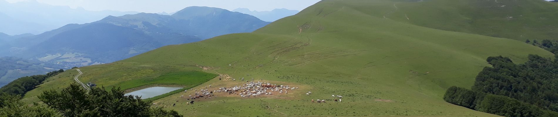 Tour Wandern La Motte-Saint-Martin - Le Conest depuis le Majeuil - Photo