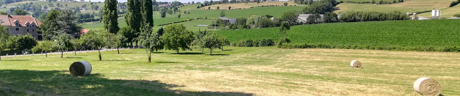 Tour Hybrid-Bike Herve - Cirkwi-Ravel_ligne_38_et_retour_par_chemins_de_campagne - Photo