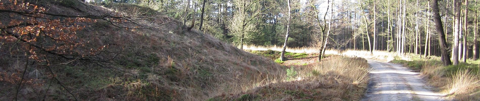 Tour Zu Fuß Apeldoorn - paleis 't Loo 