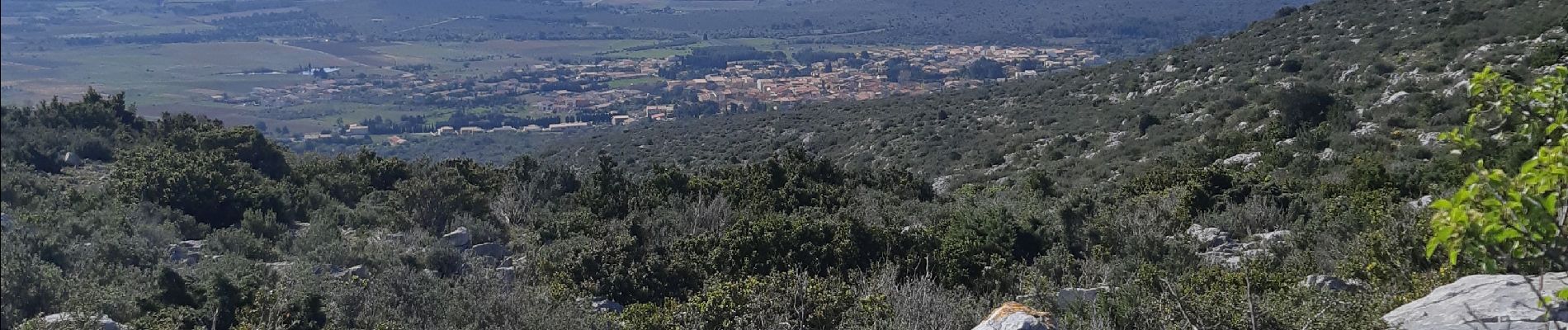 Percorso Sentiero Opoul-Périllos - col de la sabine - Photo