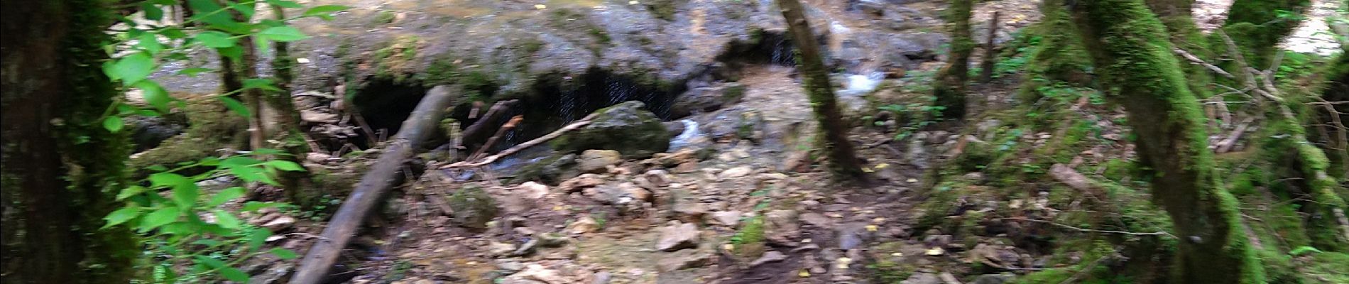 Tour Wandern Cerdon - Cerdon Cascade de la Fouge - Photo