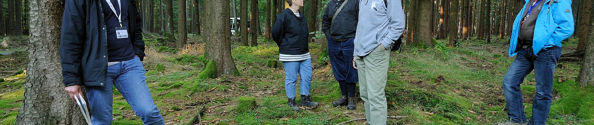 Randonnée A pied Kirchzell - Rundwanderweg Kirchzell Wildschweinfütterung 9: Hainbuche-Weg - Photo