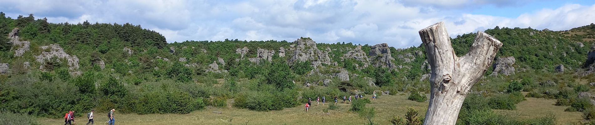 POI Le Caylar - traversée piste  - Photo