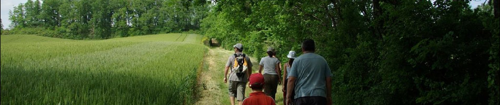 Randonnée Marche Aurimont - le chemin d'en jannet carreau - Photo