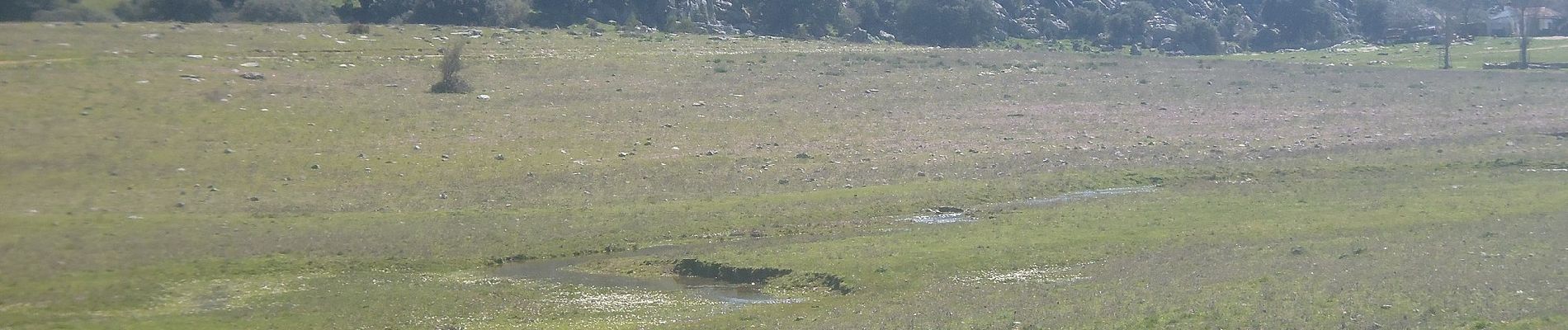 Tocht Te voet Montejaque - LOS LLANOS DE LÍBAR - Photo