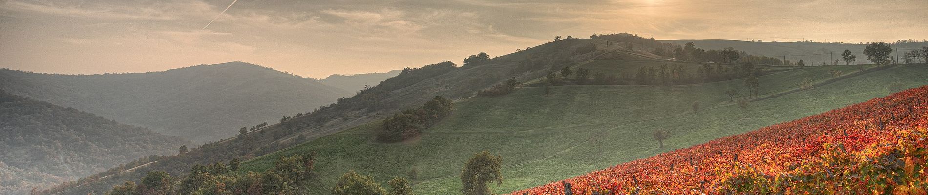 Randonnée A pied Vezzano sul Crostolo - Salvarano - Cerro - Bedogno - Bercemme - Montebello - Salvarano - Photo