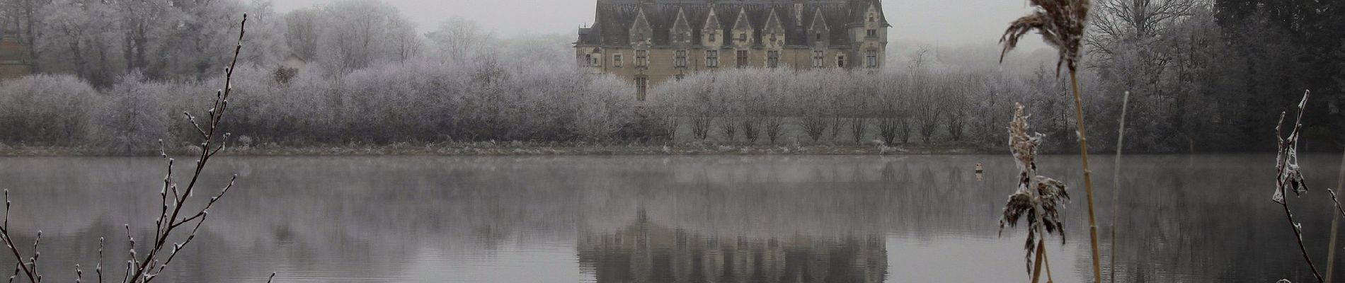 Trail On foot Carquefou - Les Bords de l'Erdre - Photo