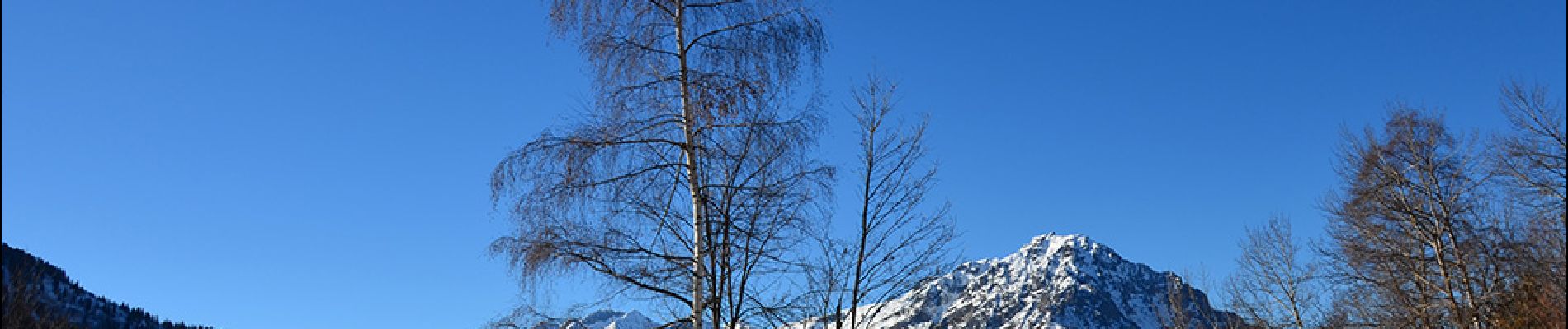 Excursión Raquetas de nieve Oz - Oz Station - Télécabine Poutran - Pré raynaud - Photo