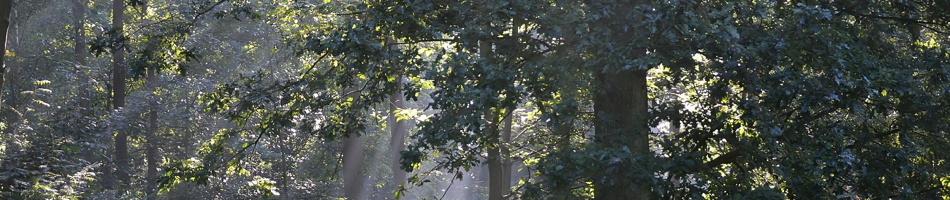 Tocht Te voet Oostkamp - Doeveren wandelroute - Photo