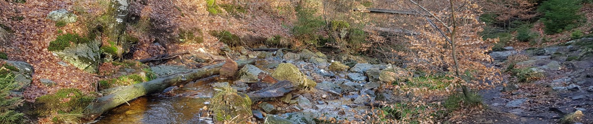 Randonnée Marche Eupen - Ternell  - Réserve naturelle des Hautes Fagnes - Photo