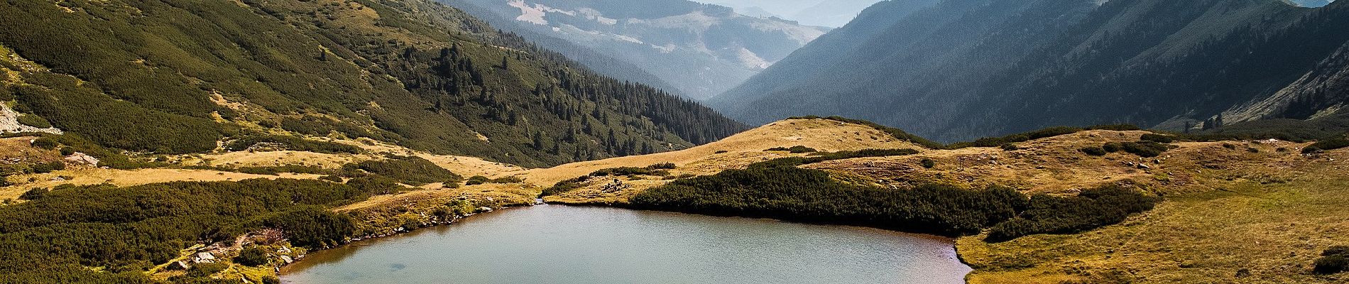 Randonnée A pied Cârlibaba - Gura Lalei – Șaua Ineuțului – Șaua Cu Lac (blue dot) - Photo