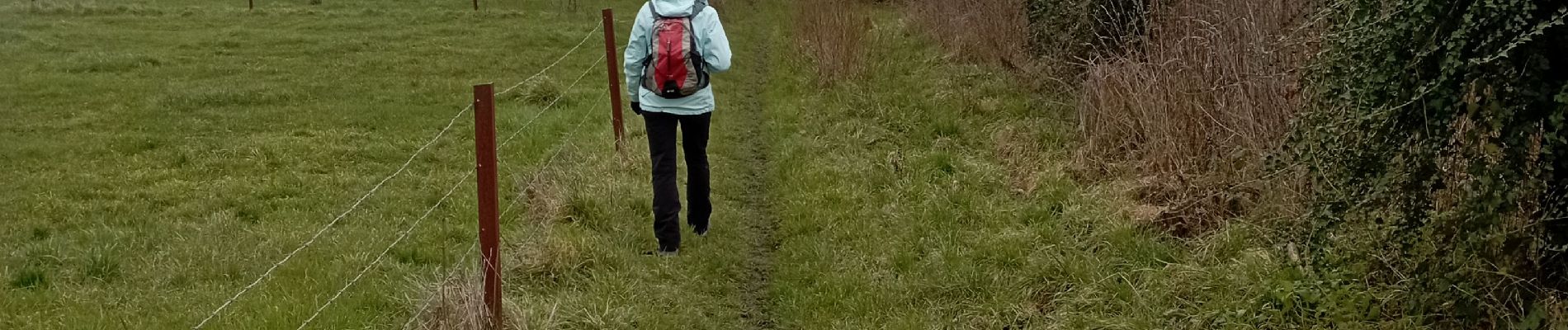 Tour Wandern Charleroi - mont sur marchienne dans les bois - Photo