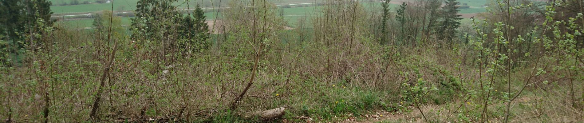 Tour Wandern Sapogne-et-Feuchères - Sapogne 2019-4-09 - Photo