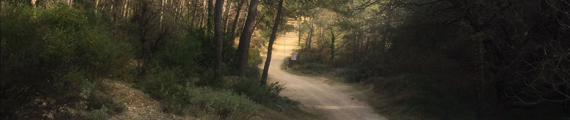 Randonnée Marche Le Rouret - Le Rouret 19/02/2019 - Photo