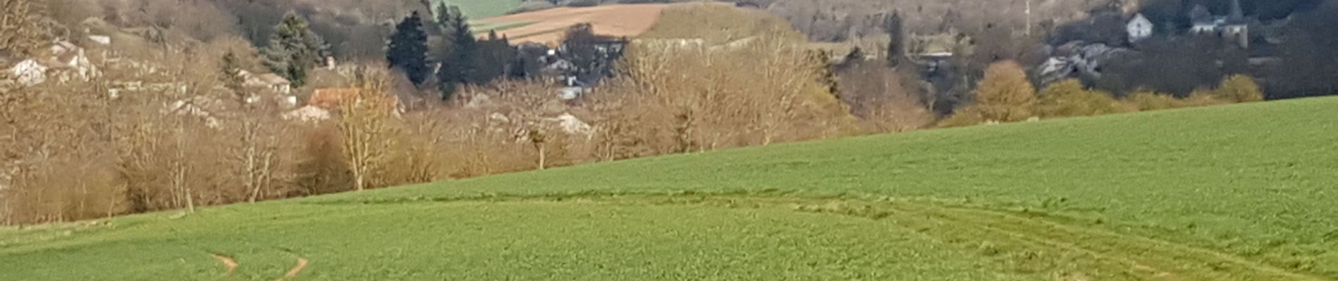 Tocht Stappen Marbache - MARBACHE - LA TARTE - Photo