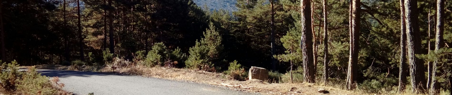 Excursión Carrera Real Sitio de San Ildefonso - CHORRANCA CAIDA - Photo