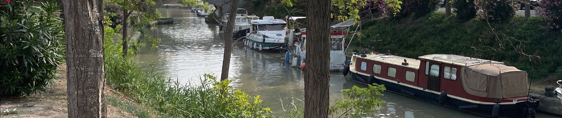 Tour Wandern Poilhes - Berges du canal du midi à Poilhes - Photo