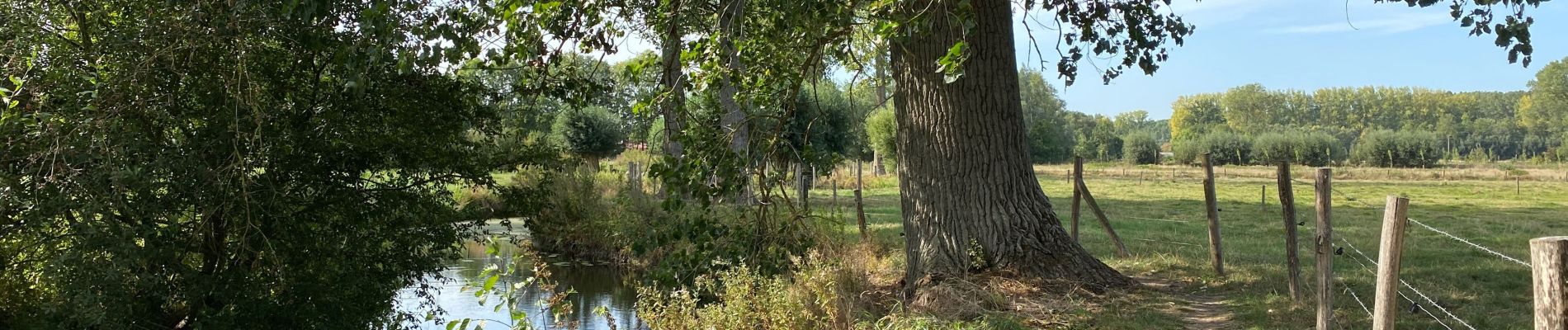 Excursión Senderismo Galmaarden - Tollembeek 18 km - Photo