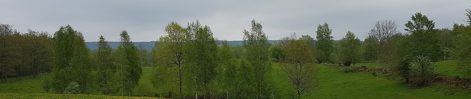 Tocht Te voet Onbekend - Flämsjön runt - Photo