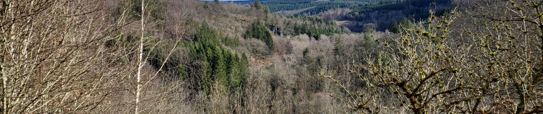 Randonnée Marche Houffalize - Cetturu 060224 - Photo