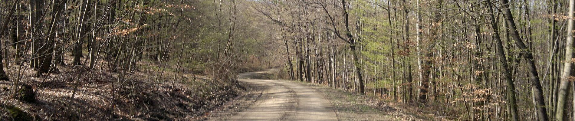 Tour Zu Fuß Unknown - Planinska kuća Tivanovo - Pjeskovi - Photo