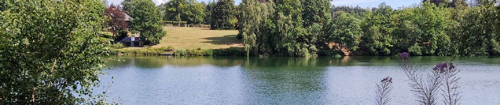 Tour Wandern Weismes - Au fil des rives du Lac   - Photo