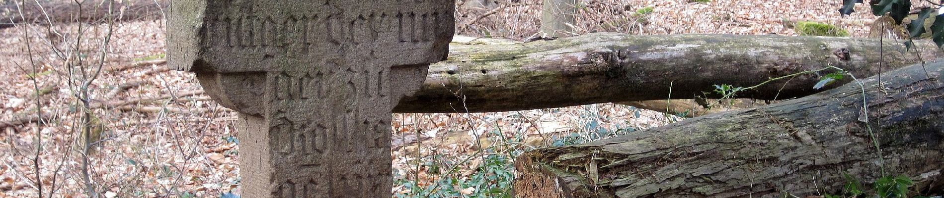 Excursión A pie Bergisch Gladbach - BASt Rundweg A2 - Photo